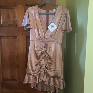 Angel Biba Rose colored Dress from Hello Molly